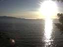 ./images/koeye/fitz-hugh/20200909/fitz-hugh20200909_184501.jpg