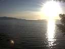 ./images/koeye/fitz-hugh/20200909/fitz-hugh20200909_185001.jpg