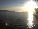 ./images/koeye/fitz-hugh/20200909/fitz-hugh20200909_185501.jpg