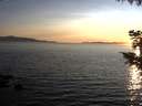./images/koeye/fitz-hugh/20200909/fitz-hugh20200909_194002.jpg