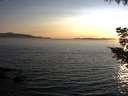 ./images/koeye/fitz-hugh/20200909/fitz-hugh20200909_194502.jpg