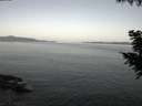 ./images/koeye/fitz-hugh/20200910/fitz-hugh20200910_062001.jpg