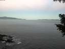 ./images/koeye/fitz-hugh/20200910/fitz-hugh20200910_064001.jpg