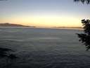 ./images/koeye/fitz-hugh/20200910/fitz-hugh20200910_072502.jpg