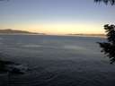 ./images/koeye/fitz-hugh/20200910/fitz-hugh20200910_073502.jpg
