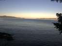 ./images/koeye/fitz-hugh/20200910/fitz-hugh20200910_074002.jpg