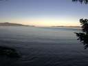 ./images/koeye/fitz-hugh/20200910/fitz-hugh20200910_075502.jpg