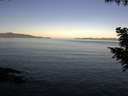 ./images/koeye/fitz-hugh/20200910/fitz-hugh20200910_080002.jpg