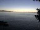 ./images/koeye/fitz-hugh/20200910/fitz-hugh20200910_080502.jpg