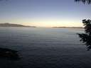 ./images/koeye/fitz-hugh/20200910/fitz-hugh20200910_081002.jpg