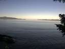 ./images/koeye/fitz-hugh/20200910/fitz-hugh20200910_085501.jpg
