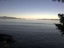 ./images/koeye/fitz-hugh/20200910/fitz-hugh20200910_091001.jpg