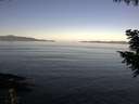 ./images/koeye/fitz-hugh/20200910/fitz-hugh20200910_092001.jpg