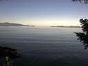 ./images/koeye/fitz-hugh/20200910/fitz-hugh20200910_093501.jpg