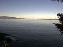 ./images/koeye/fitz-hugh/20200910/fitz-hugh20200910_094501.jpg
