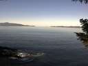 ./images/koeye/fitz-hugh/20200910/fitz-hugh20200910_104502.jpg
