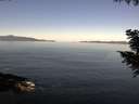./images/koeye/fitz-hugh/20200910/fitz-hugh20200910_105502.jpg