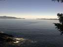 ./images/koeye/fitz-hugh/20200910/fitz-hugh20200910_111002.jpg