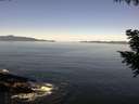 ./images/koeye/fitz-hugh/20200910/fitz-hugh20200910_111502.jpg