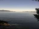 ./images/koeye/fitz-hugh/20200910/fitz-hugh20200910_112501.jpg