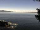 ./images/koeye/fitz-hugh/20200910/fitz-hugh20200910_115501.jpg