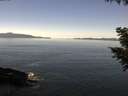 ./images/koeye/fitz-hugh/20200910/fitz-hugh20200910_120501.jpg