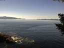 ./images/koeye/fitz-hugh/20200910/fitz-hugh20200910_124501.jpg