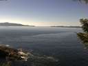 ./images/koeye/fitz-hugh/20200910/fitz-hugh20200910_130501.jpg