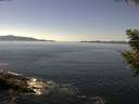 ./images/koeye/fitz-hugh/20200910/fitz-hugh20200910_131501.jpg