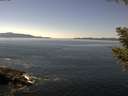 ./images/koeye/fitz-hugh/20200910/fitz-hugh20200910_132502.jpg