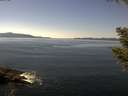 ./images/koeye/fitz-hugh/20200910/fitz-hugh20200910_133502.jpg