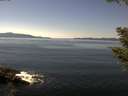 ./images/koeye/fitz-hugh/20200910/fitz-hugh20200910_134002.jpg