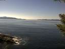 ./images/koeye/fitz-hugh/20200910/fitz-hugh20200910_134502.jpg