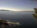 ./images/koeye/fitz-hugh/20200910/fitz-hugh20200910_135002.jpg
