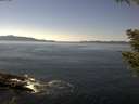 ./images/koeye/fitz-hugh/20200910/fitz-hugh20200910_140002.jpg