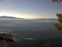 ./images/koeye/fitz-hugh/20200910/fitz-hugh20200910_140502.jpg