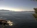 ./images/koeye/fitz-hugh/20200910/fitz-hugh20200910_141002.jpg