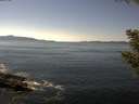 ./images/koeye/fitz-hugh/20200910/fitz-hugh20200910_142501.jpg