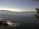 ./images/koeye/fitz-hugh/20200910/fitz-hugh20200910_143501.jpg