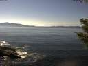 ./images/koeye/fitz-hugh/20200910/fitz-hugh20200910_144001.jpg