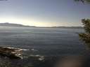 ./images/koeye/fitz-hugh/20200910/fitz-hugh20200910_144501.jpg