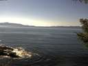 ./images/koeye/fitz-hugh/20200910/fitz-hugh20200910_145501.jpg