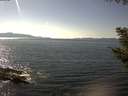 ./images/koeye/fitz-hugh/20200910/fitz-hugh20200910_152001.jpg
