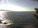 ./images/koeye/fitz-hugh/20200910/fitz-hugh20200910_154001.jpg