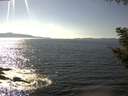 ./images/koeye/fitz-hugh/20200910/fitz-hugh20200910_154501.jpg