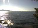 ./images/koeye/fitz-hugh/20200910/fitz-hugh20200910_155001.jpg