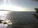 ./images/koeye/fitz-hugh/20200910/fitz-hugh20200910_155501.jpg