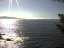 ./images/koeye/fitz-hugh/20200910/fitz-hugh20200910_160501.jpg