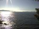./images/koeye/fitz-hugh/20200910/fitz-hugh20200910_161001.jpg