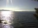 ./images/koeye/fitz-hugh/20200910/fitz-hugh20200910_161501.jpg